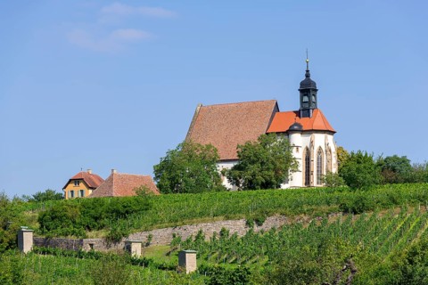 Pilgrimage church Maria im Weingarten