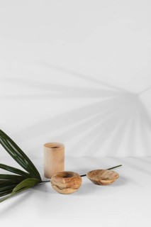 Abstract minimal plant shadows