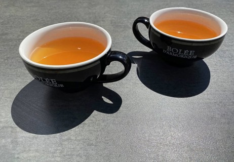 Two cups of Bolee Cidre