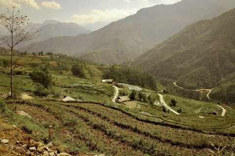 Fog over the terraced rice paddy and mountains in Lao Cai