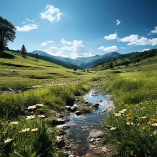 Mountain landscape with a green meadow and lots of flowers