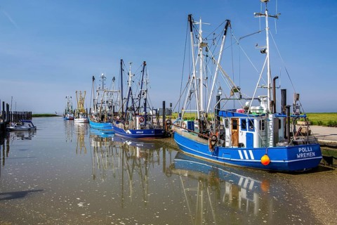 Sielhafen with crab cutters