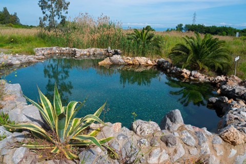 Kuniavitis Thermal Baths