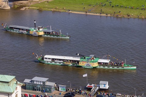 Fleet parade in Dresden Nine historic passenger steamers