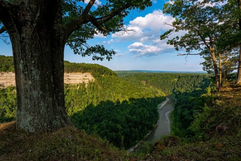 Letchworth State Park