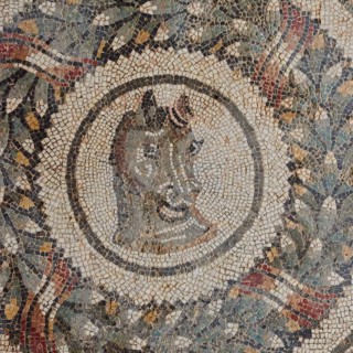 Horse's head