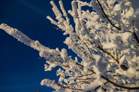 Winter on the Fichtelberg
