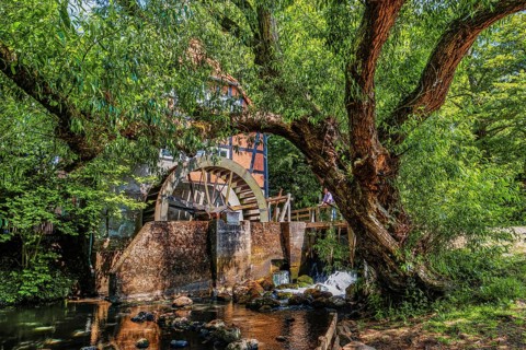 Historic water mill of Stuckenborstel