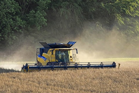 New Holland CR9. 90 Combine Harvester harvesting rapeseed crop in field in summer for production of animal feed