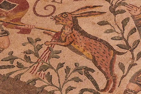 Hare