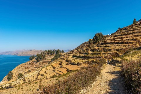 Tourists with guide on hiking trail