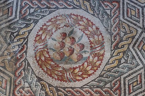 Fruit