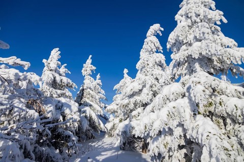 Winter on the Fichtelberg