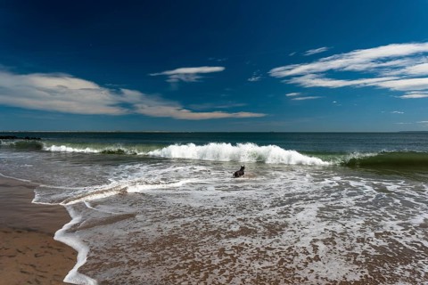 Listening to the ocean waves on a sunny spring day on the Brighton Beach