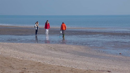 Beach walkers in winter at Lido di Venezia