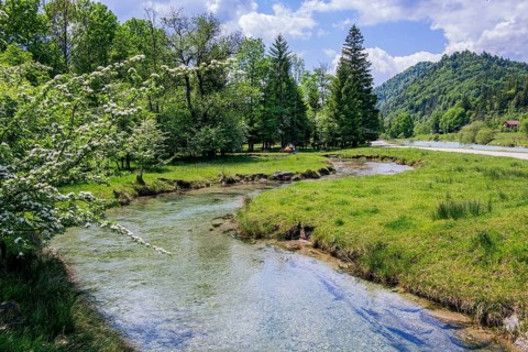 Spring Landscape with Muehlbach