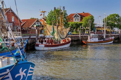 Historic cutter harbour with crab cutters