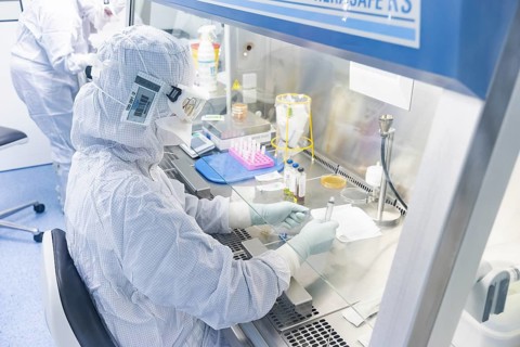 Fraunhofer Institute for Cell Therapy and Immunology IZI