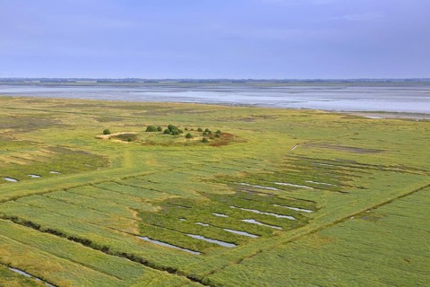 Aerial view over salt marsh