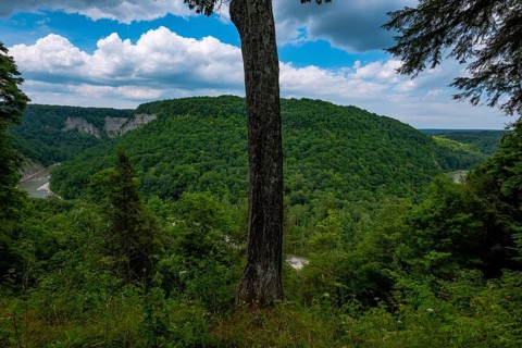 Letchworth State Park