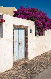 Door with Bougainvillea Bush