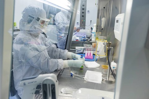 Fraunhofer Institute for Cell Therapy and Immunology IZI