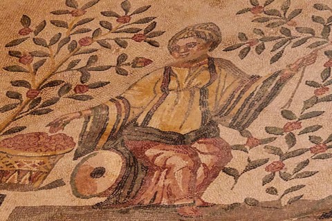 Woman picking fruit