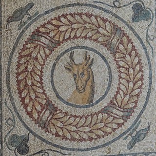 Doe