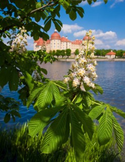 Moritzburg Baroque Palace