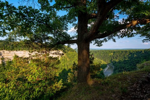 Letchworth State Park
