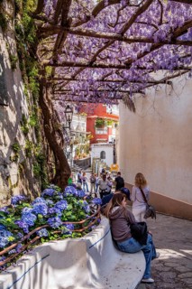 Shady alley in the centre
