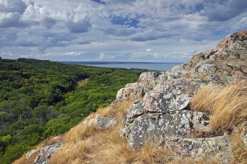 View over the coastline and beach at the Stenshuvud National park near Kivik
