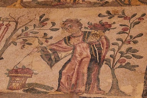 Gardener