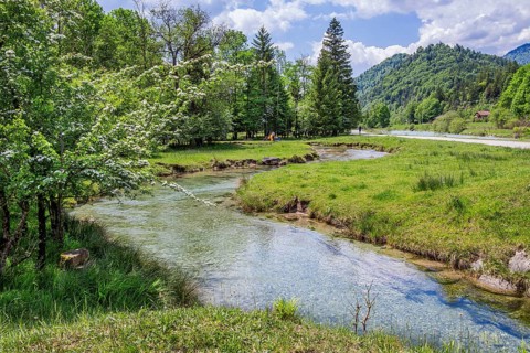 Spring Landscape with Muehlbach