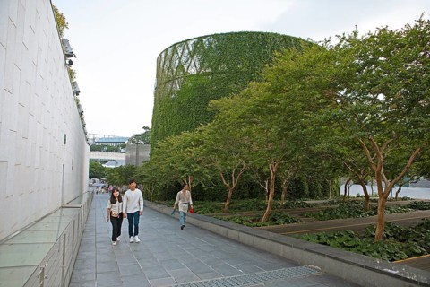 Tower overgrown with ivy at the ACC Asia Culture Centre