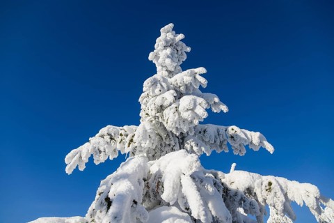 Winter on the Fichtelberg