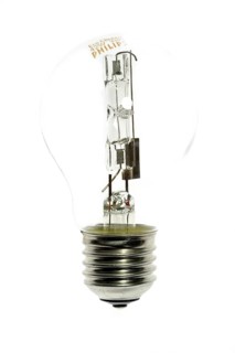 Incandescent lamp