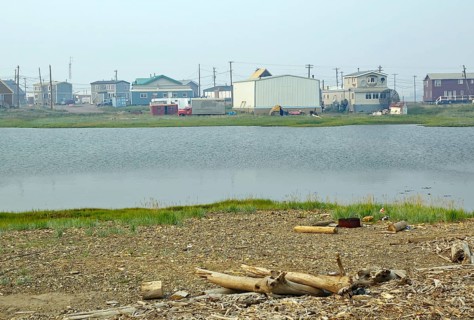 Beach littered with driftwood and simple houses