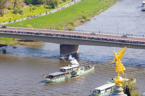 Fleet parade in Dresden Nine historic passenger steamers