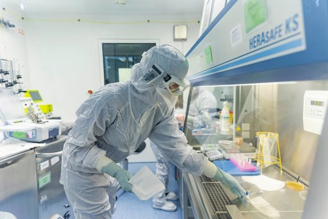 Fraunhofer Institute for Cell Therapy and Immunology IZI
