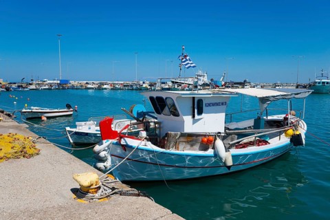 Boats in the harbour