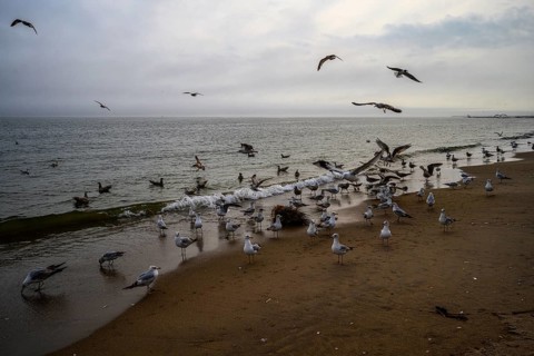 Cludy spring day on Brighton Beach