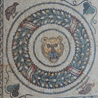 Tiger Head