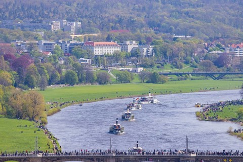 Fleet parade in Dresden Nine historic passenger steamers