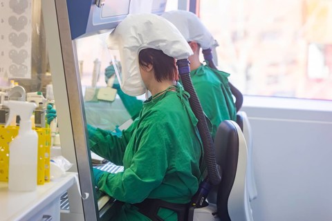 Fraunhofer Institute for Cell Therapy and Immunology IZI
