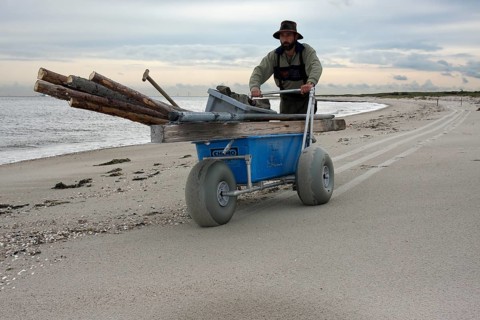 Transport of building material by the bird warden on the island of Minsener Oog