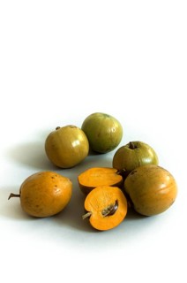 Sapote Amarillo