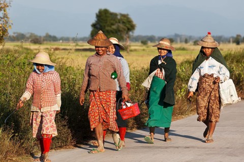 Women returning from field work