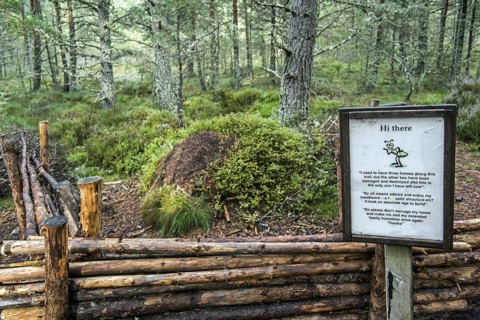 Warning sign near fenced anthill of red wood ants