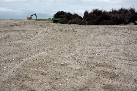 Construction measures on the uninhabited island of Minsener Oog in zone 1 in the Lower Saxony Wadden Sea National Park